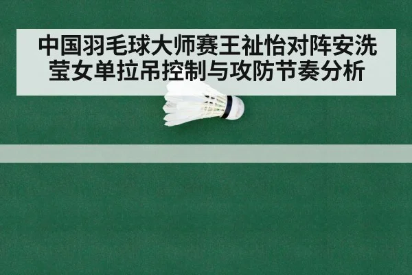 badminton net shot rally